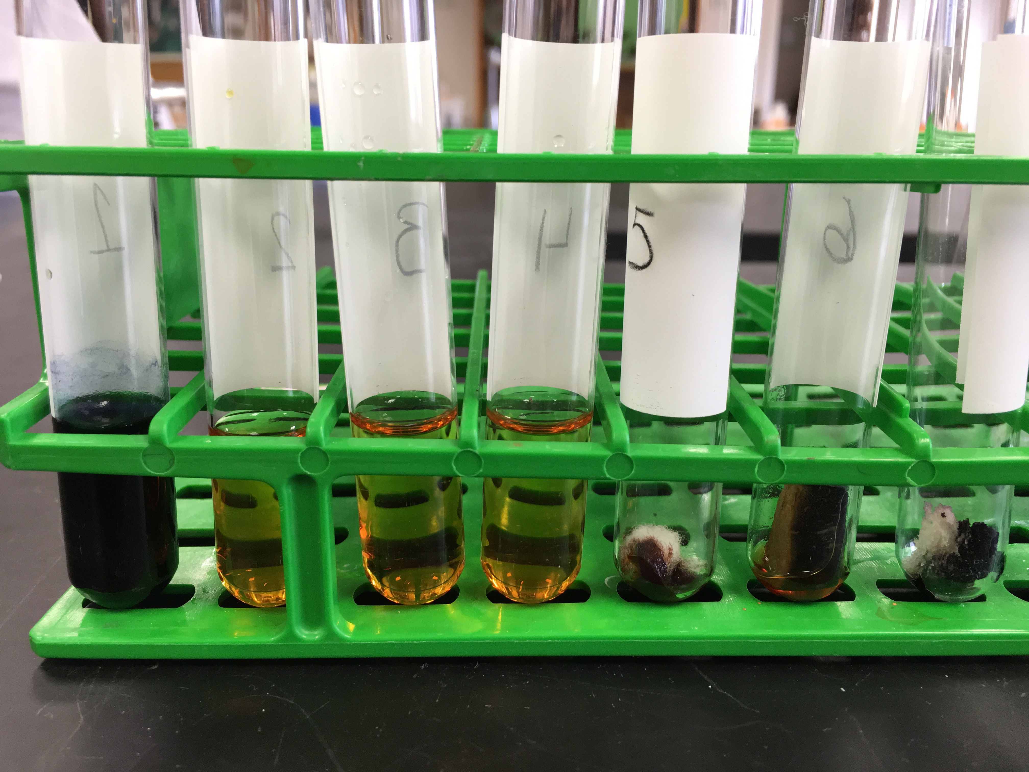 Results from experiment 1. The tubes in the picture correspond from left to right to tubes 1 to 7 in table 5.2. Please use the results shown in this picture to fill in the two empty colummns in the table.
