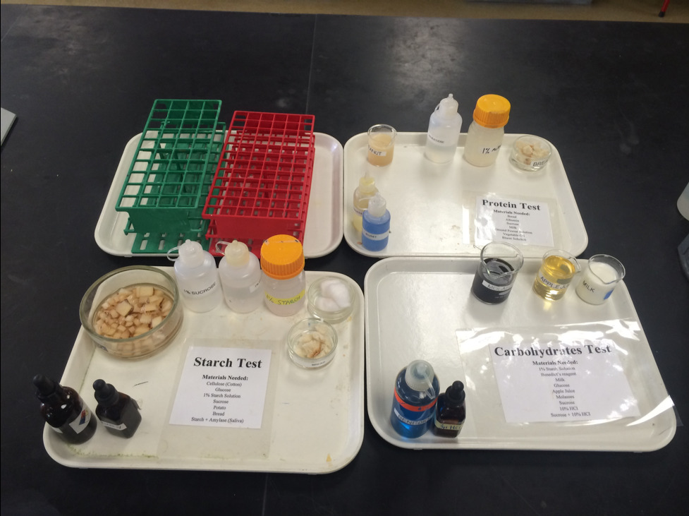 Experimental materials for this lab provided on your lab bench.