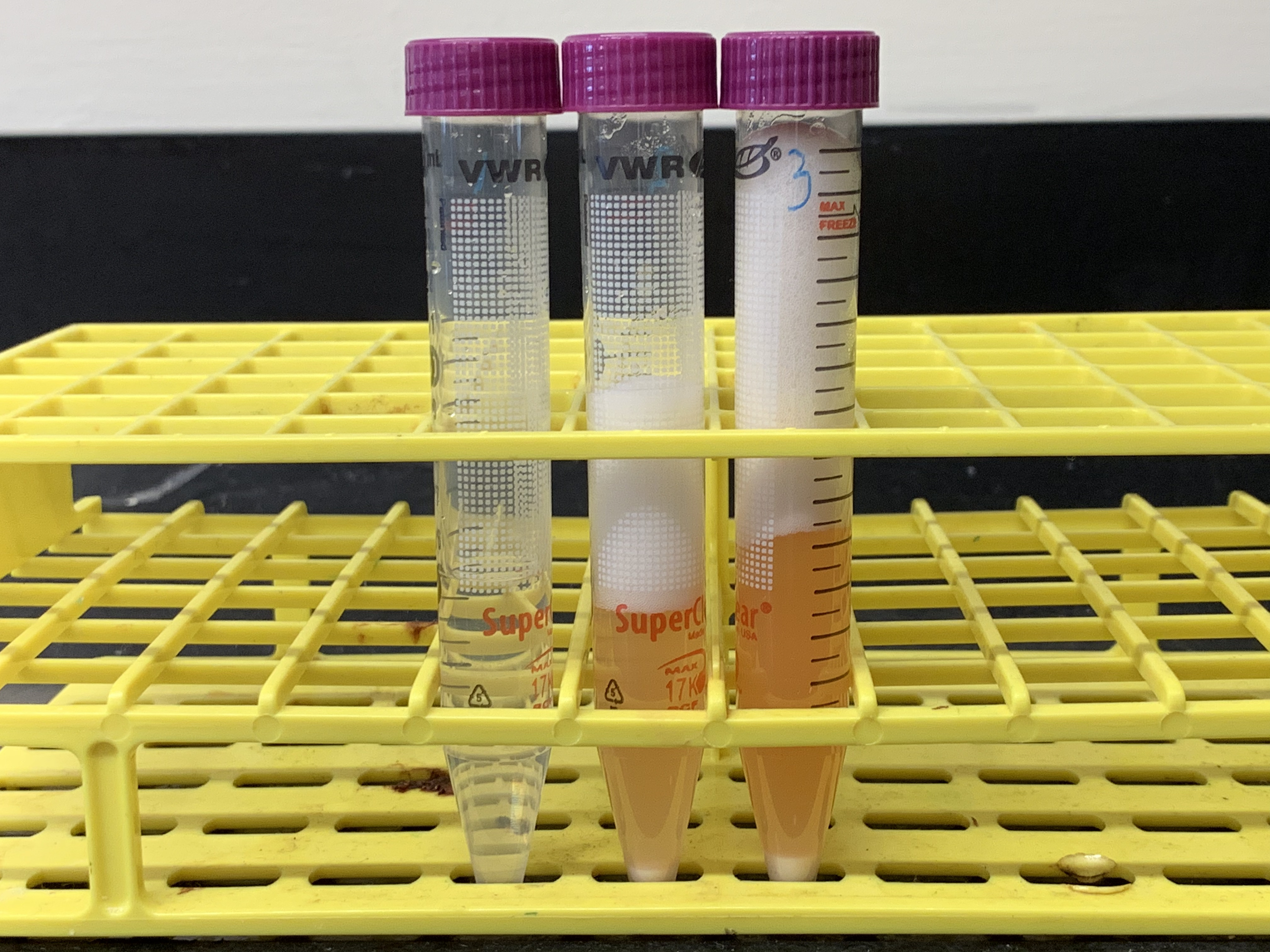 Results from experiment 3. The tubes in the picture correspond from left to right to tubes 1 to 3 in table 8.3. What conclusions can you draw from the results of this experiment as shown in this figure?