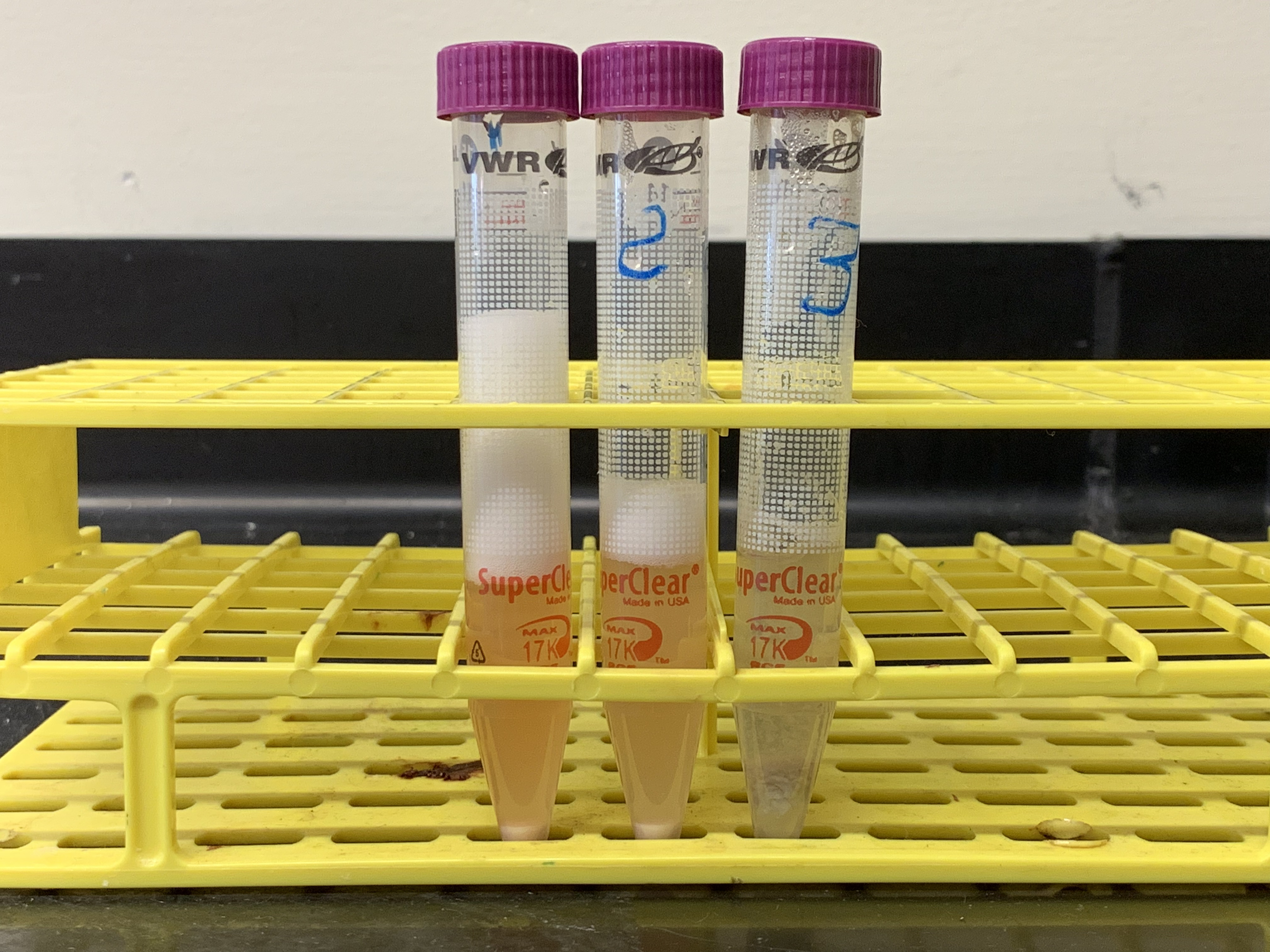 Results from experiment 2. The tubes in the picture correspond from left to right to tubes 1 to 3 in table 8.2. What conclusions can you draw from the results of this experiment as shown in this figure?