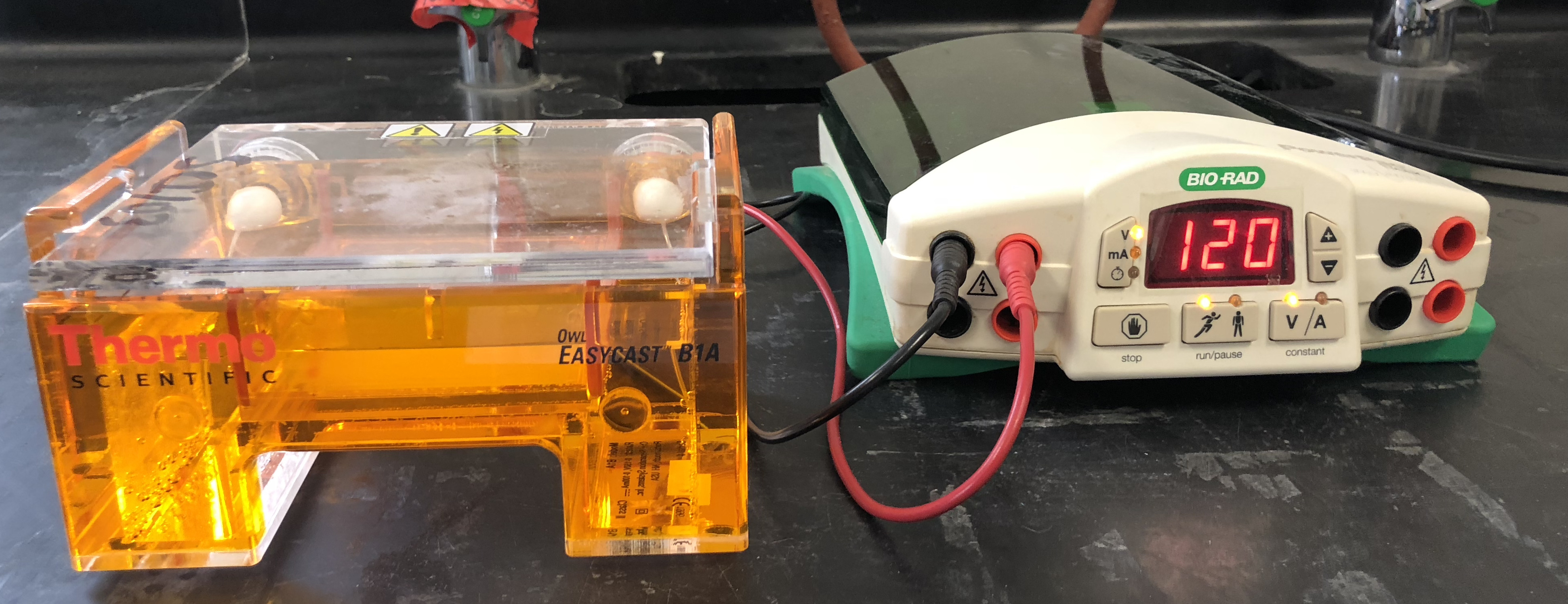 Gel electrophoresis box and power supply.