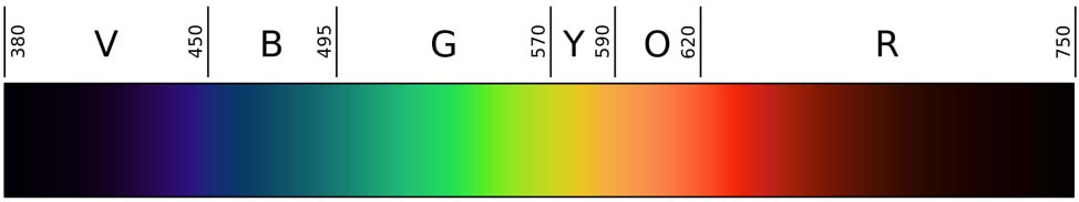Spectrum of light. V, violet; B, blue; G, green Y, yellow; O, orange; R, red