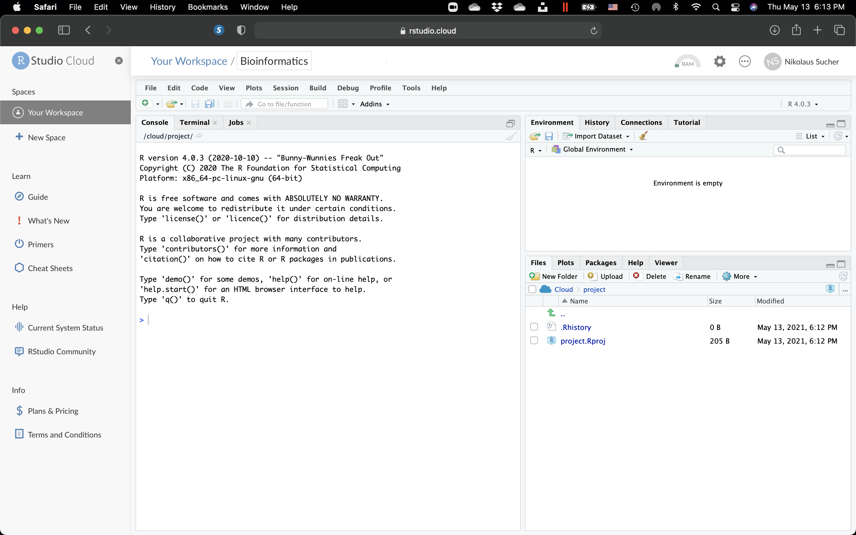 The RStudio Workspace.