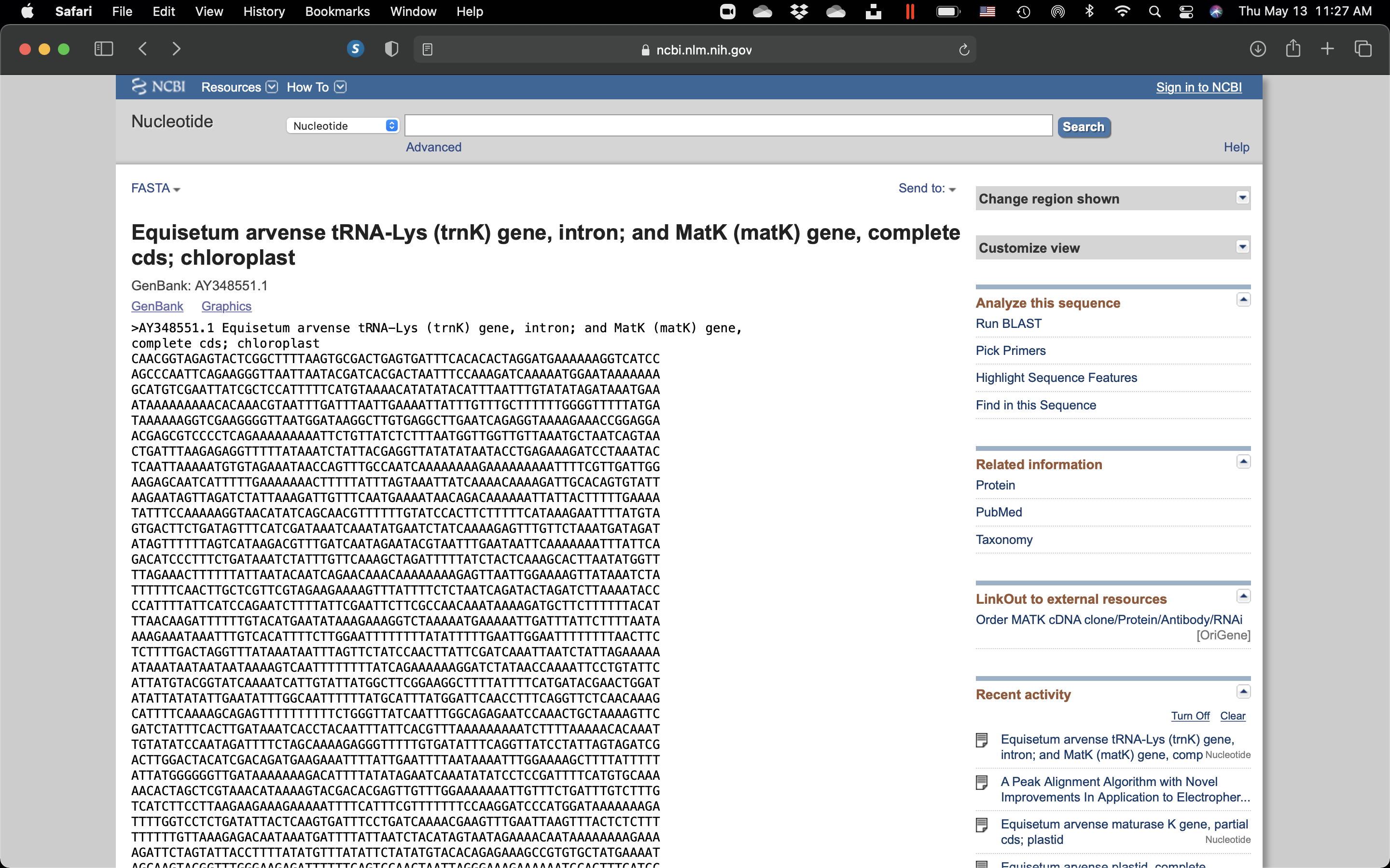 View of the DNA seuence with GenBank accession # AY348551.1 in FASTA format.