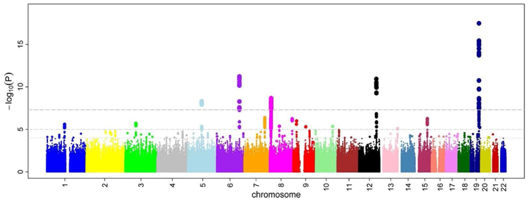 An illustration of a Manhattan plot depicting several strongly associated risk loci. A Manhattan plot is a type of scatter plot, usually used to display data with a large number of data-points, many of non-zero amplitude, and with a distribution of higher-magnitude values. The plot is commonly used in genome-wide association studies (GWAS) to display significant SNPs. It gains its name from the similarity of such a plot to the Manhattan skyline: a profile of skyscrapers towering above the lower level “buildings” which vary around a lower height. In GWAS Manhattan plots, genomic coordinates are displayed along the X-axis, with the negative logarithm of the association p-value for each single nucleotide polymorphism (SNP) displayed on the Y-axis, meaning that each dot on the Manhattan plot signifies a SNP. Because the strongest associations have the smallest p-values (e.g., 10−15), their negative logarithms will be the greatest (e.g., 15). The different colors of each block usually show the extent of each chromosome