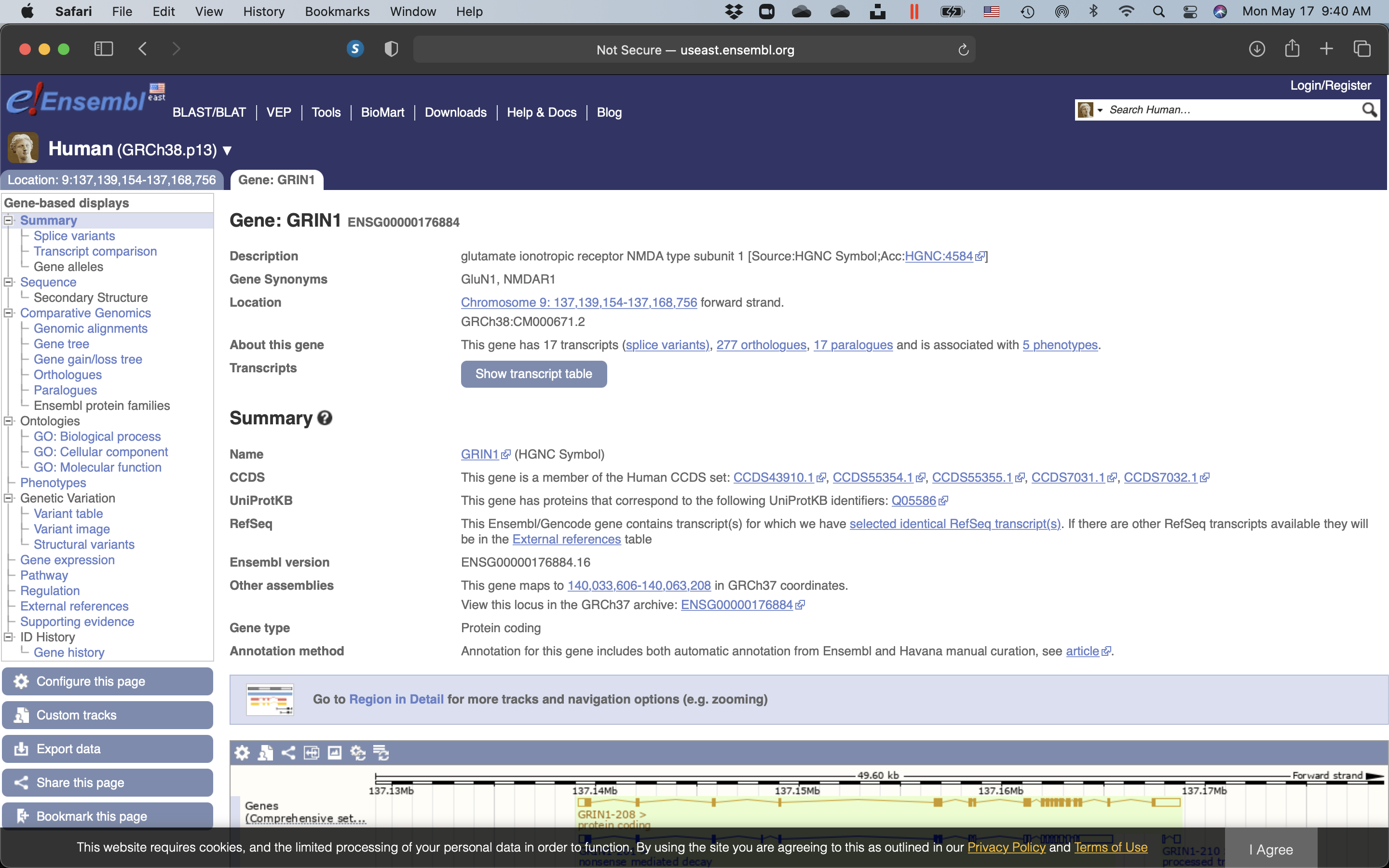 Page displaying summary information of the search results for GRIN1A.