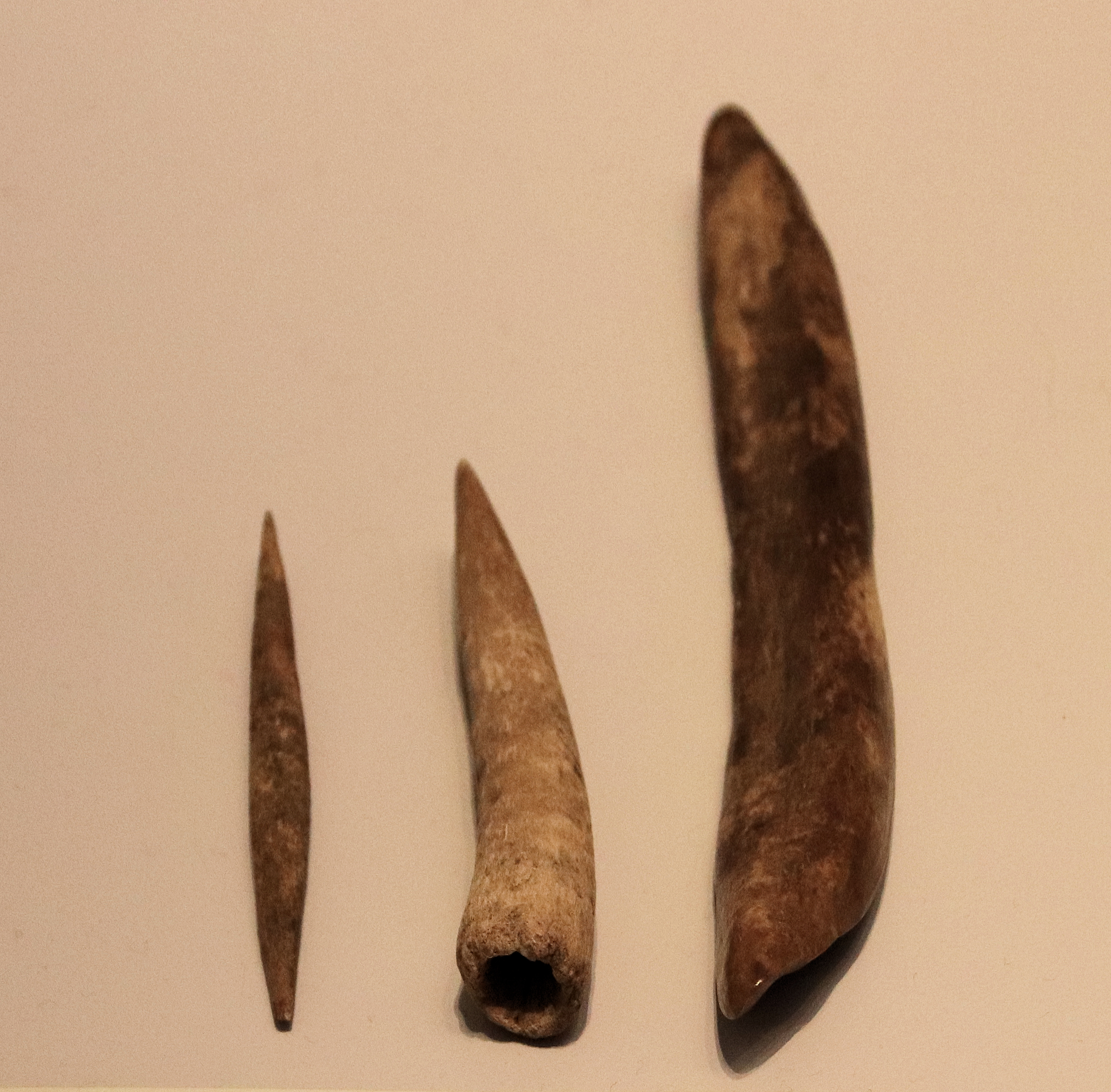 Aurignacian Culture bone tools (needdle, points and tools for punching holes), Hayonim Cave, 30000 BP (Before Present). HaYonim Cave (Hebrew: מערת היונים, Me’arat HaYonim, lit. Cave of the Pigeons) is a cave located in a limestone bluff about 250 meters above modern sea level, in the Upper Galilee, Israel.