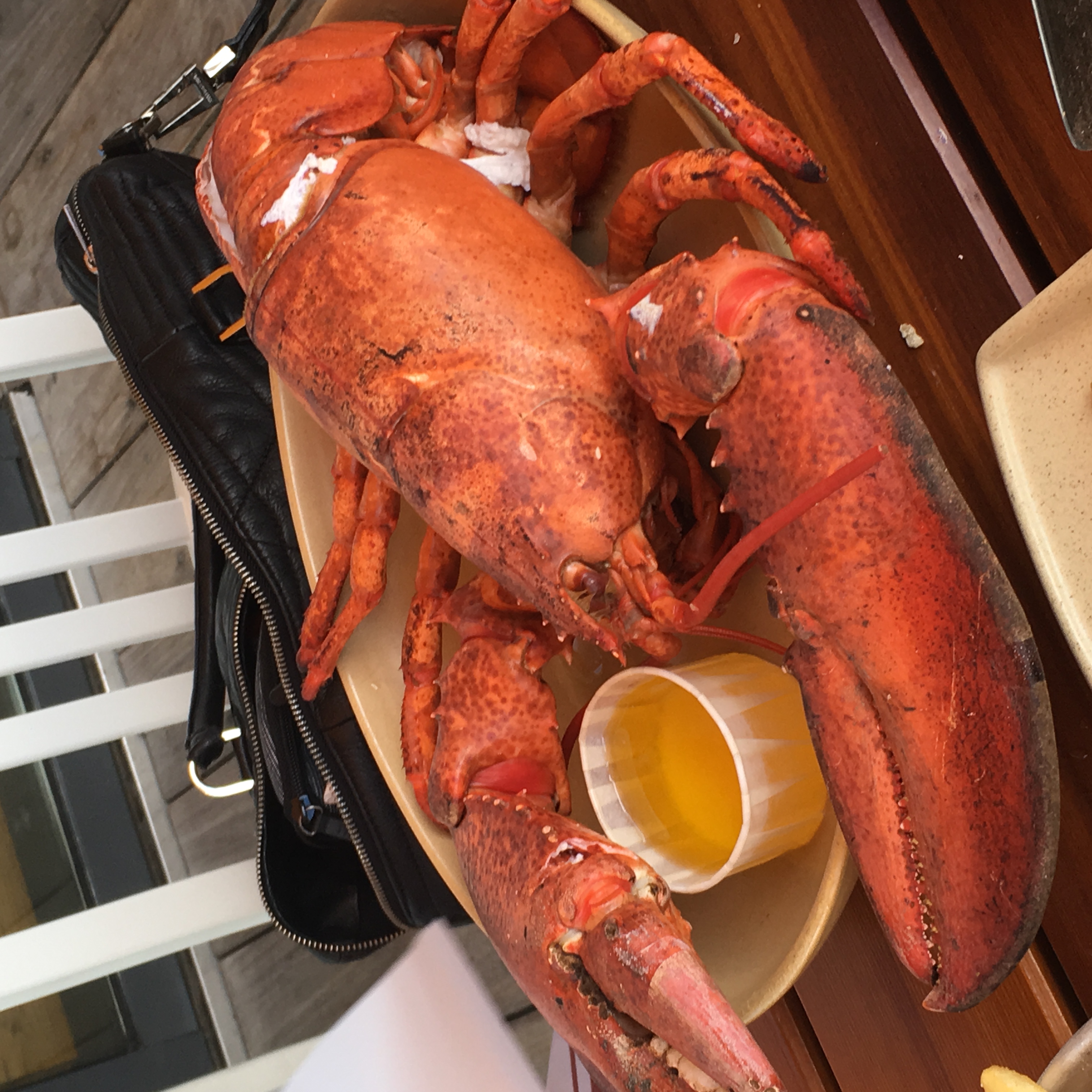 A Maine Lobster served in Boston.