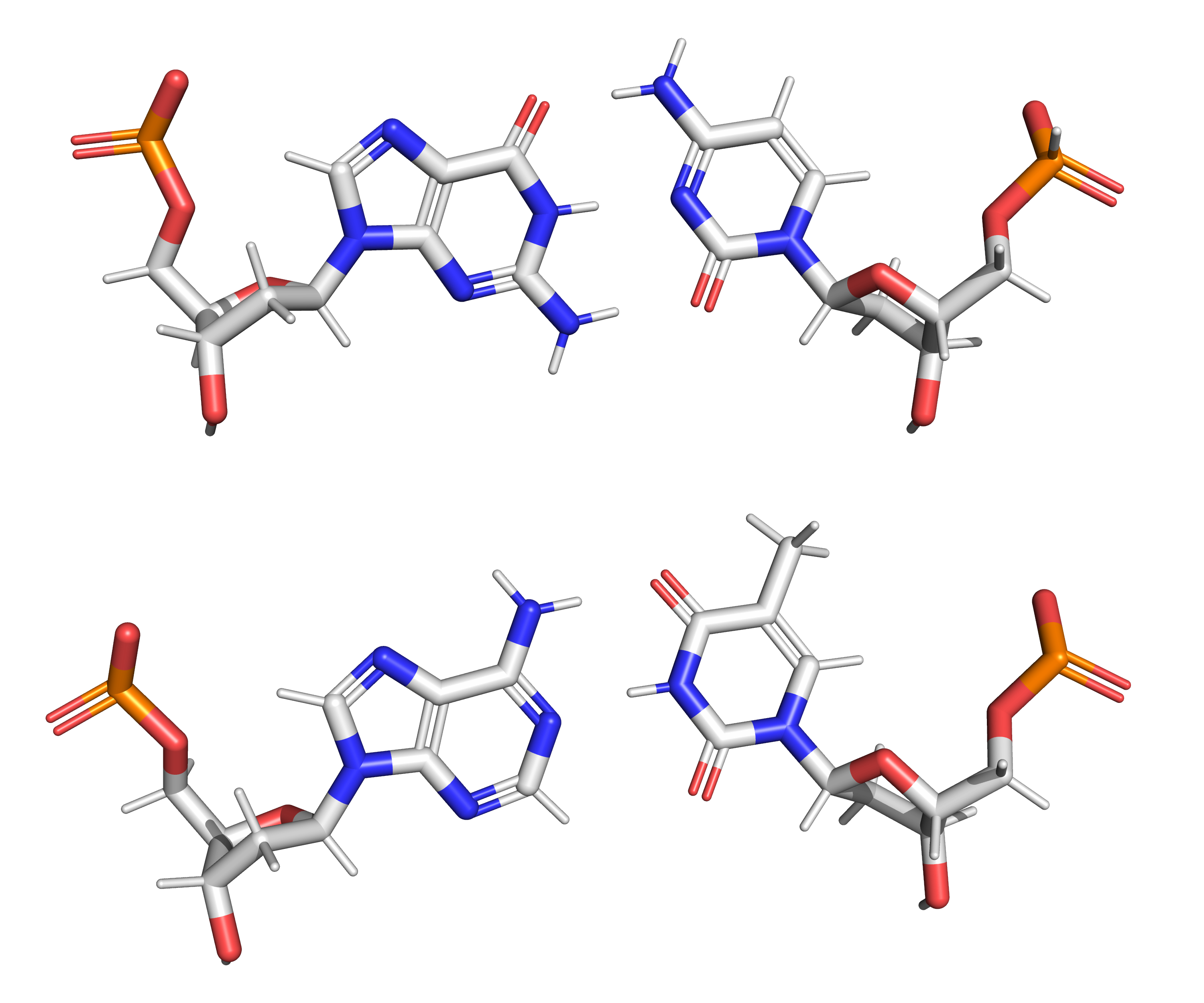The structure of the four nucleotides and their base pairing in the DNA double helix. The atoms in the structure are colour-coded by element (based on atomic coordinates of PDB 1bna rendered with open source molecular visualization tool PyMol.)