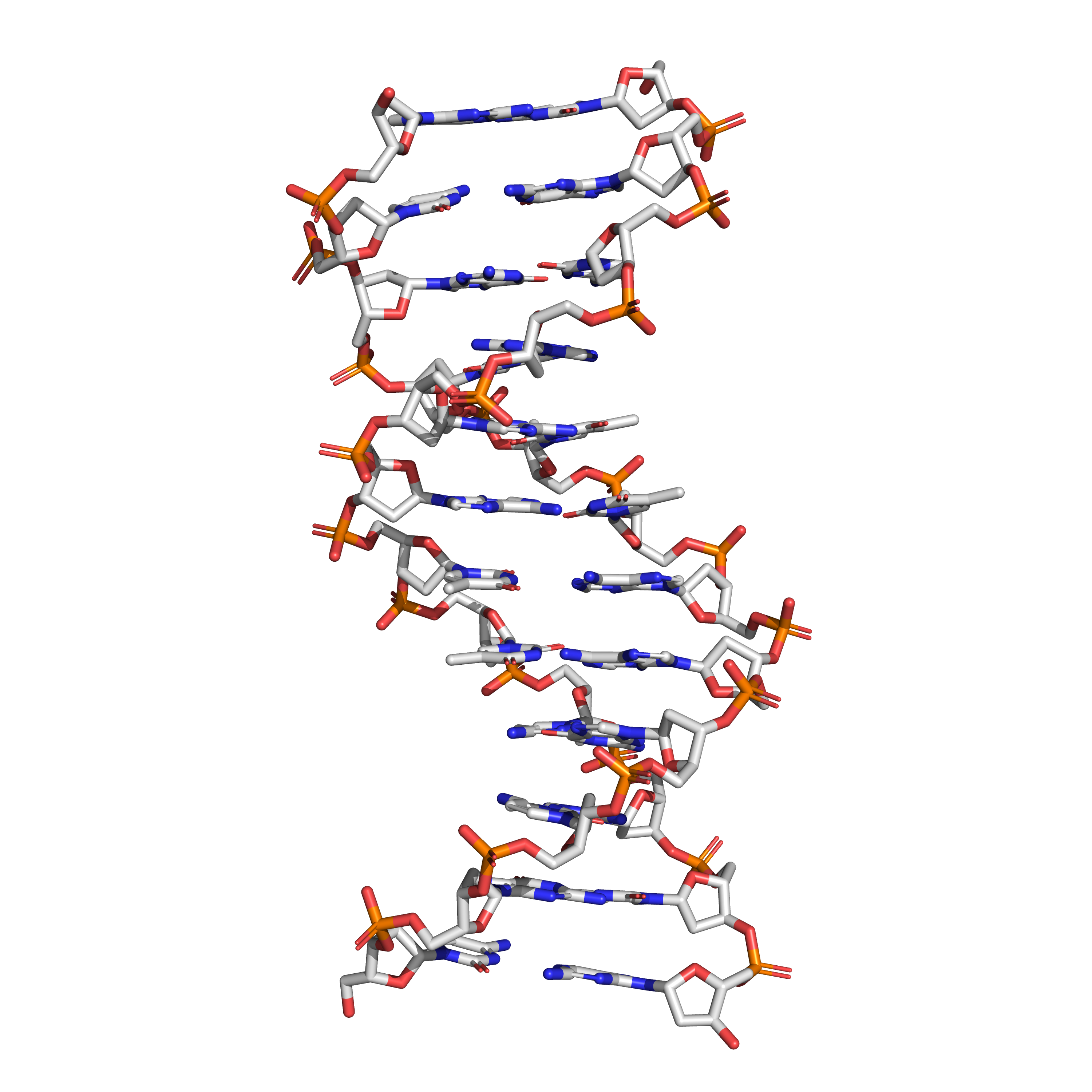 The structure of the DNA double helix. A section of DNA. The bases lie horizontally between the two spiraling strands. The atoms in the structure are colour-coded by element (based on atomic coordinates of PDB 1bna rendered with open source molecular visualization tool PyMol.)