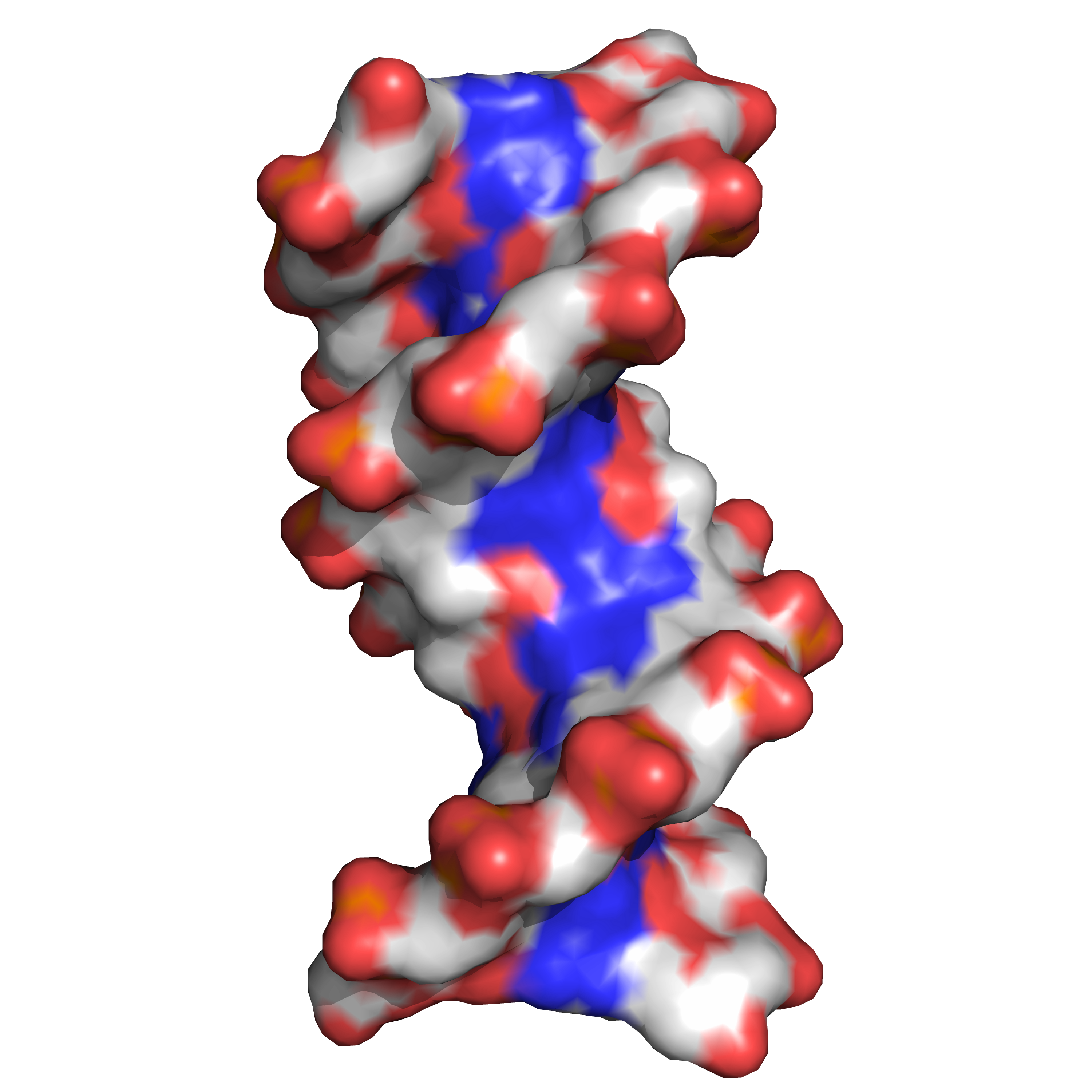 DNA major and minor grooves. PDB 1bna rendered with open source molecular visualization tool PyMol.)