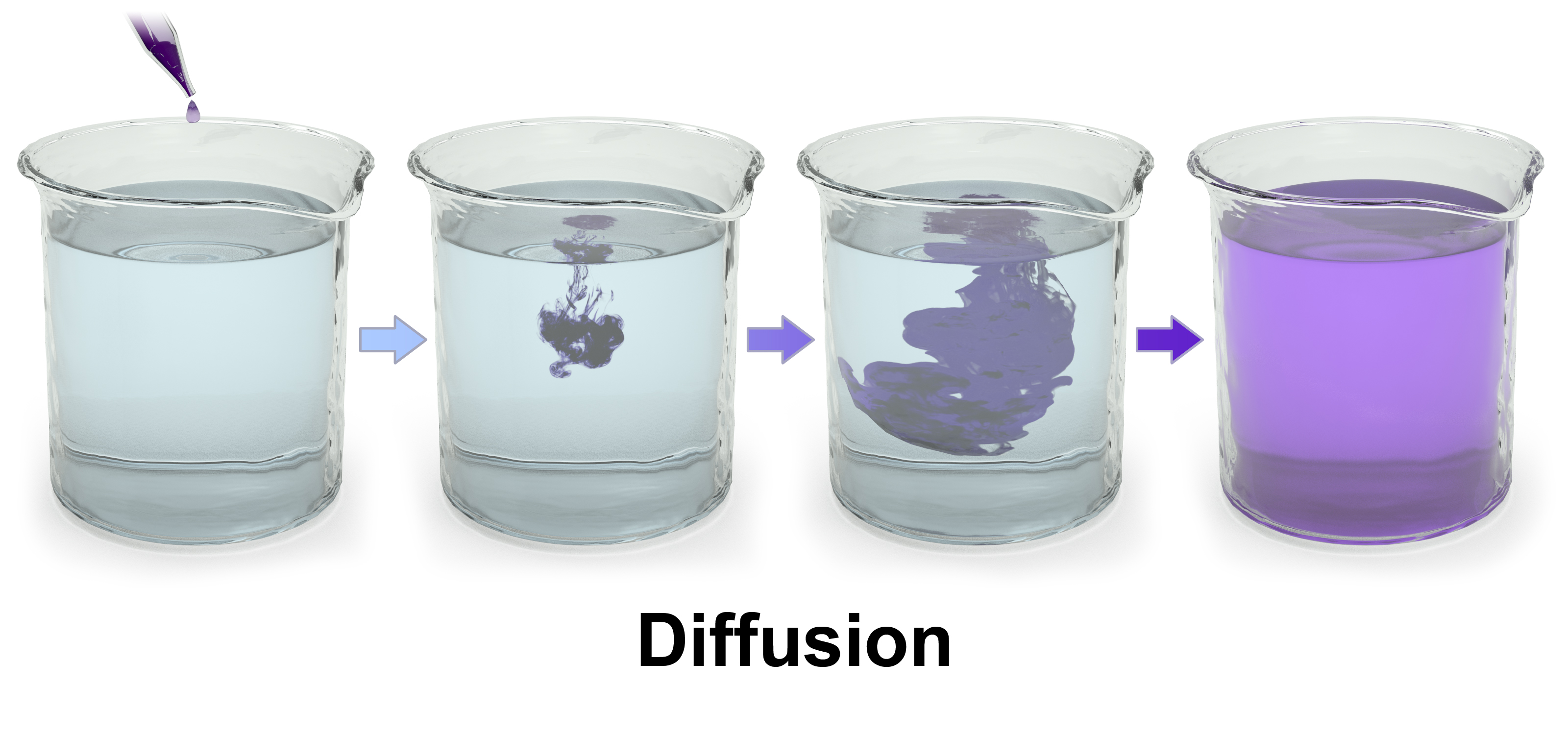 Diffusion of a purple dye in water.