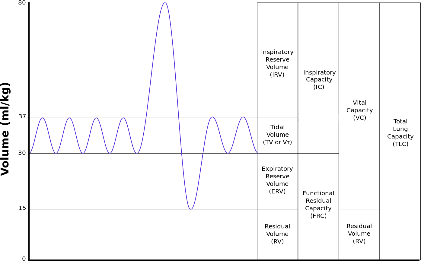 Output of a ‘spirometer’. Upward movement of the graph, read from the left, indicates the intake of air; downward movements represent exhalation.