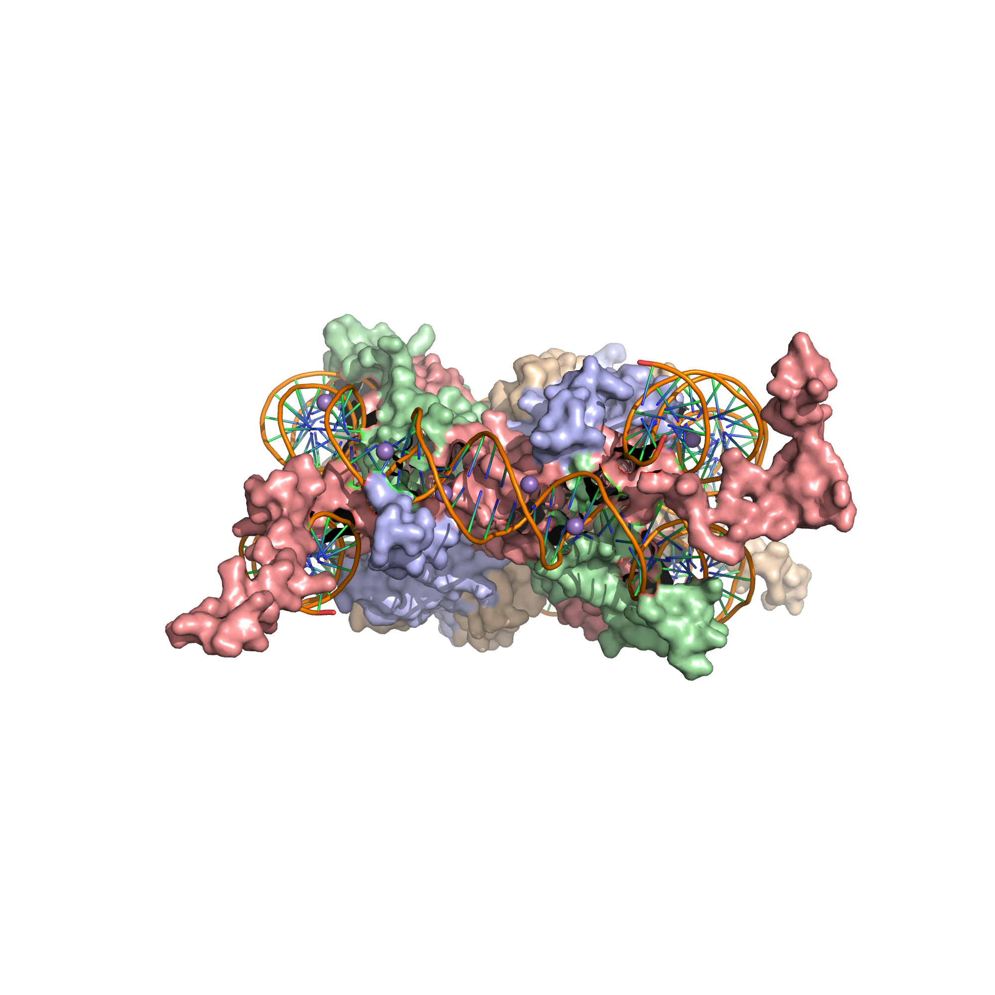 X-Ray crystal structure of the nucleosome core particle consisting of H2A (lightblue), H2B (wheat), H3 (salmon) and H4 (palegreen) core histones, and DNA. Structure of the nucleosome core particle, NCP147, at 1.9 A resolution. Top: view is from the top through the superhelical axis. Bottom: side view.