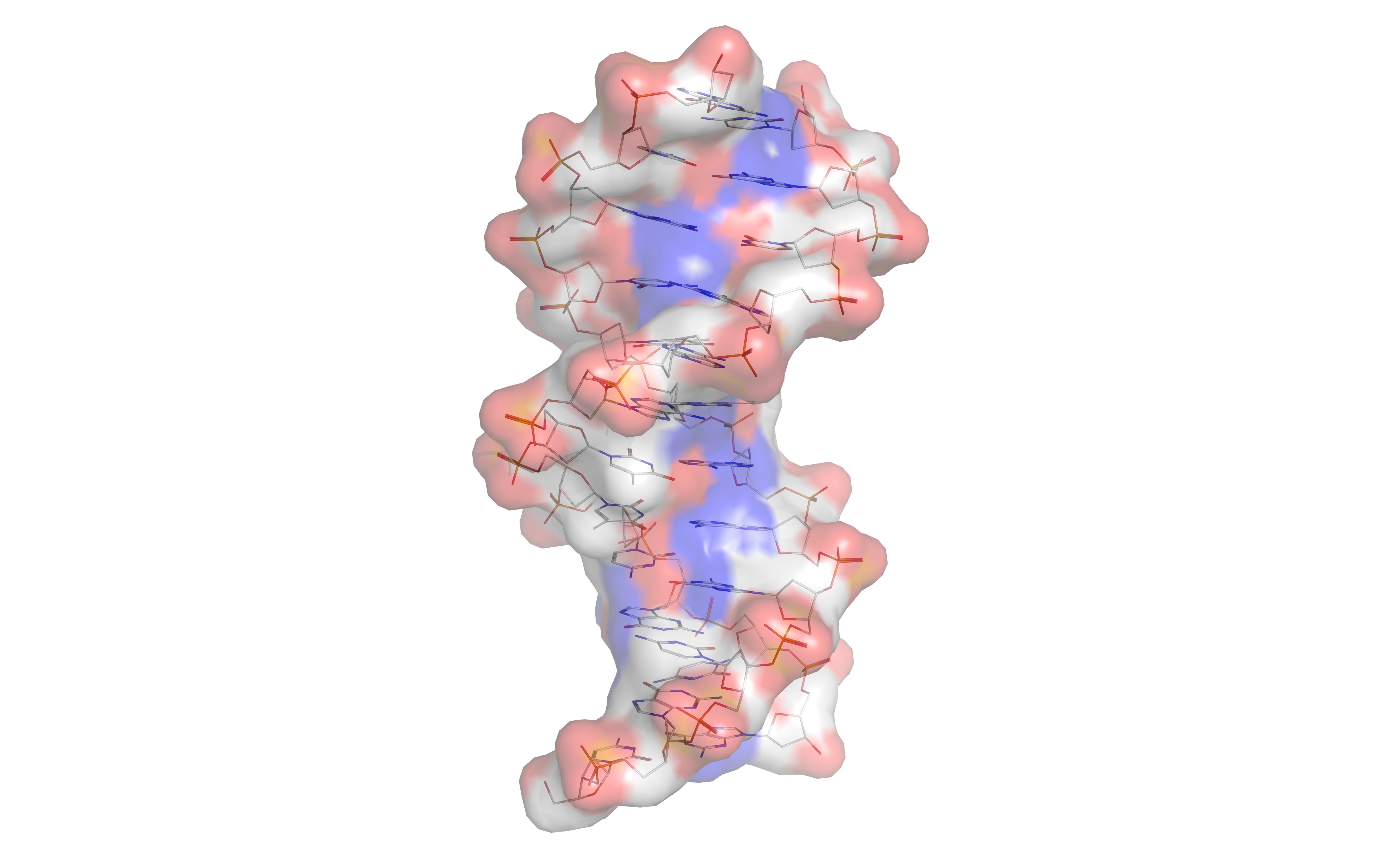 The structure of the DNA double helix. A section of DNA. The bases lie horizontally between the two spiraling strands (based on atomic coordinates of PDB 1bna rendered with UCSF Chimera.)