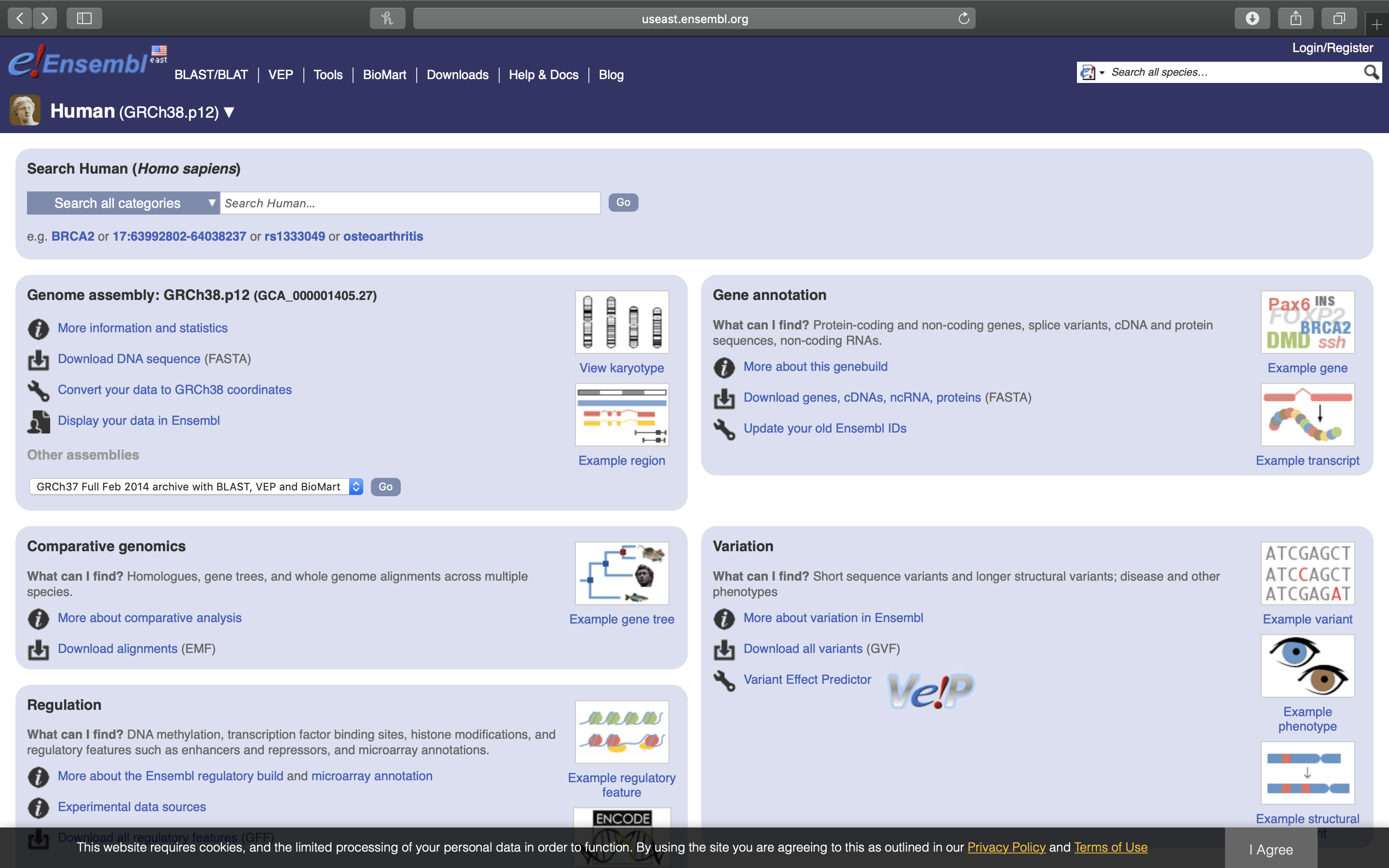 The Ensembl genome browser web page.