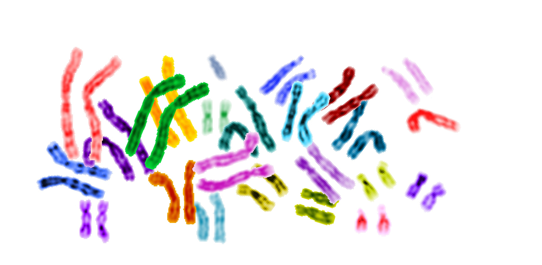 Spectral human karyotype