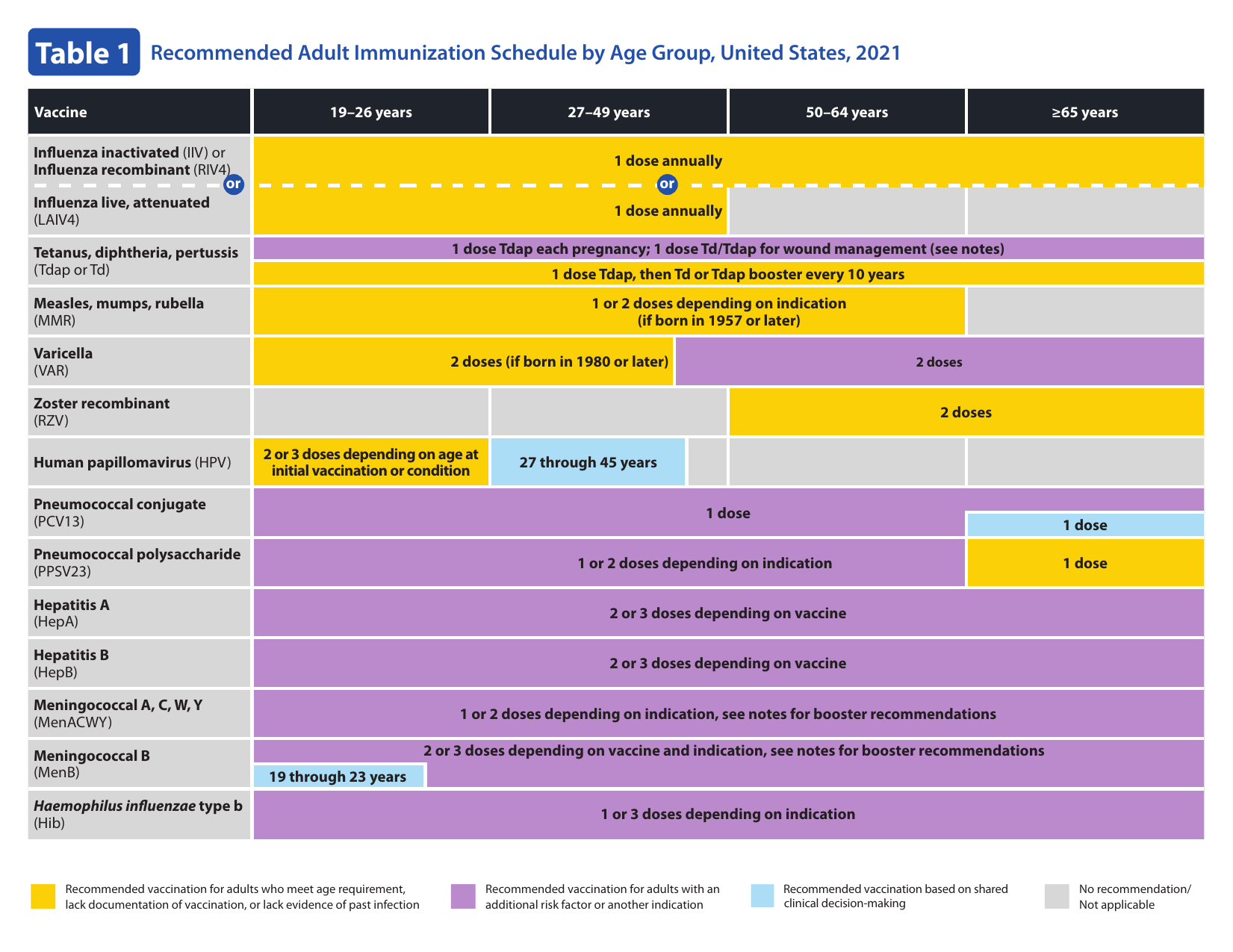 Adult immunization schedule.