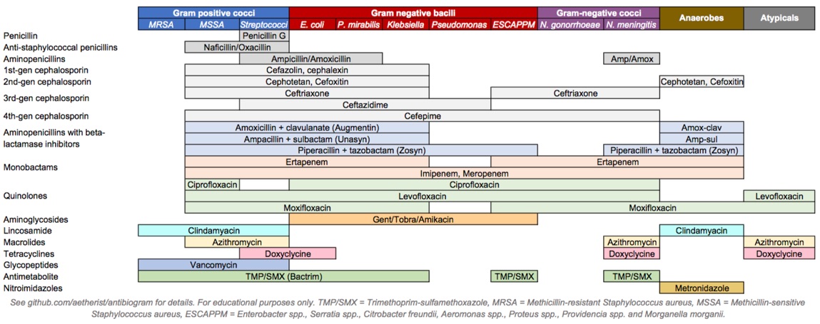 Antibiotics coverage diagram.