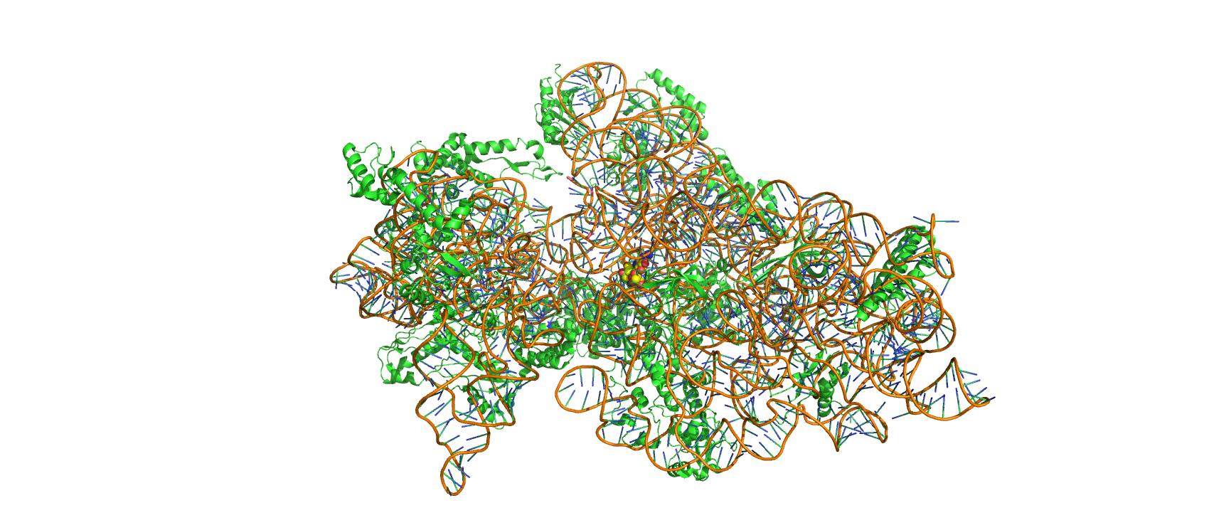 Structure of Thermus thermopiles 30S ribosomal subunit in complex with streptomycin (spheres, center). Made with Pymol from PDB entry 1FJG.